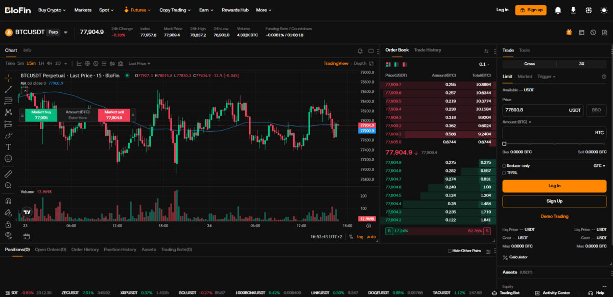 BloFin Futures trading user interface